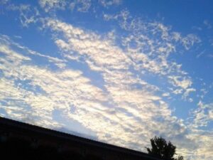 よろしくお願いします♪